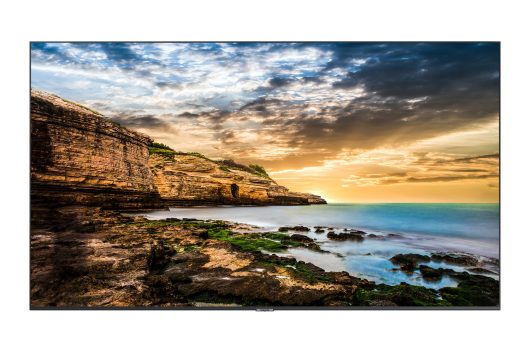 Samsung 65" QE43T Display