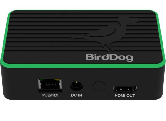 BirdDog Flex 4K Out Full NDI Decoder | BDFLEXDEC