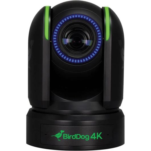 BirdDog P4K Bulb IP Security Camera | BDP4K