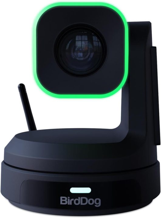 BirdDog X1 HD PTZ Camera with 20x Optical Zoom Black | BDPX1B