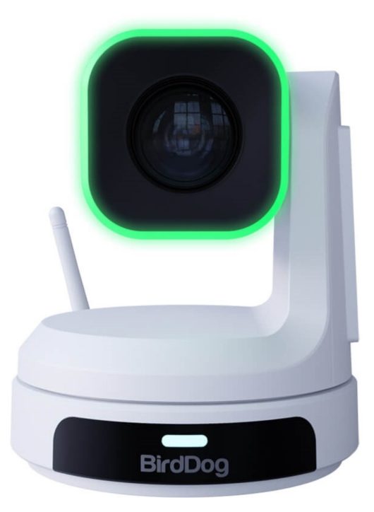 BirdDog X1 HD PTZ Camera with 20x Optical Zoom White | BDPX1W