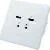 BirdDog Wallplate Dual Output | BDWPOUT