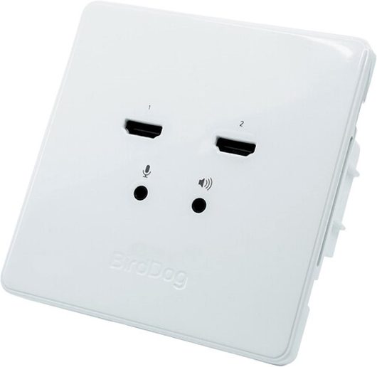 BirdDog Wallplate Dual Output | BDWPOUT