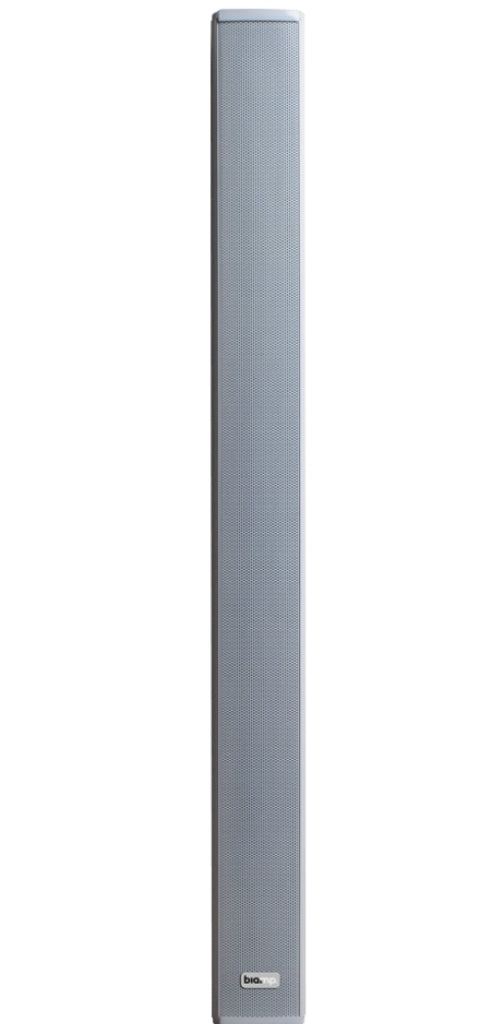 Biamp Desono COLS101 Wired 30 W Two-Way Loudspeaker White | 911.1587.900