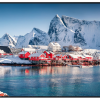 Panasonic TH-50SQE2W 50" 4K Ultra HD Digital Signage Display