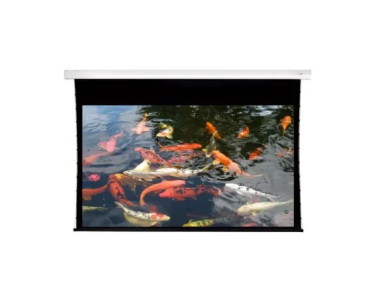 Sapphire Electric Tab Tensioned 301 x 169.3cm Projector Screen 16:9 136" SETTS300WSF-AW