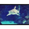 Screen Int Fixed Frame 300 x 169cm Projector Screen 16:9 136 inch FE300X169