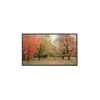 Sapphire Fixed Frame 234x146cm Slim Bezel Front Projector Screen 16:10 109" SFSC234-10SB